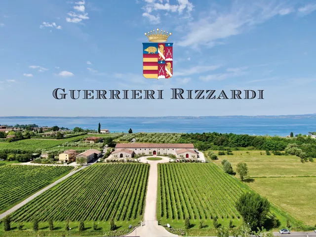 Guerrieri Rizzardi Azienda Agricola Cantina Wineshop