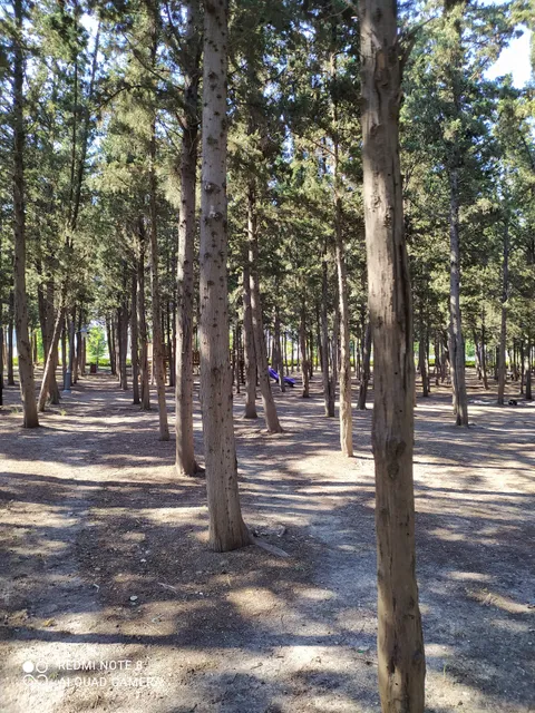 Halkalı Millet Bahçesi