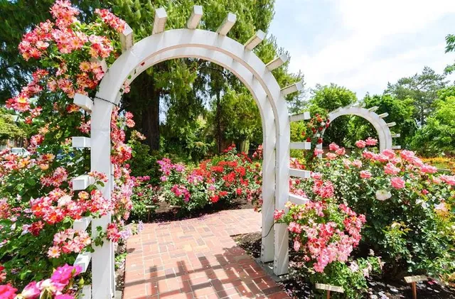 Luther Burbank Home & Gardens