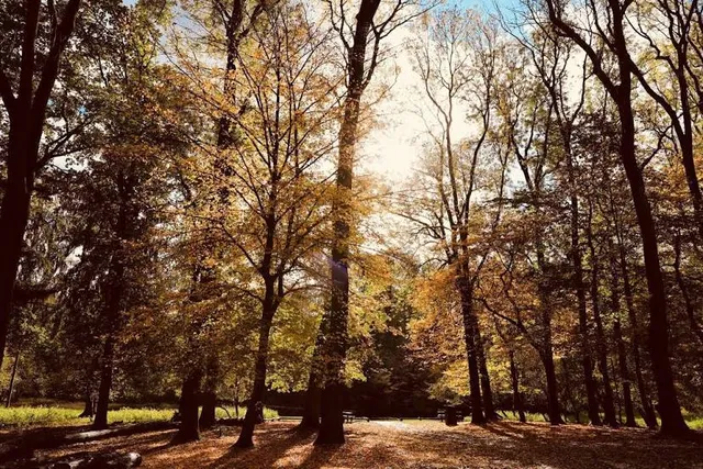 Wildpark Grafenberger Wald