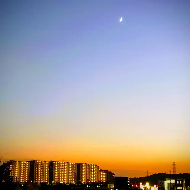 Nagatsutaminamidai Park