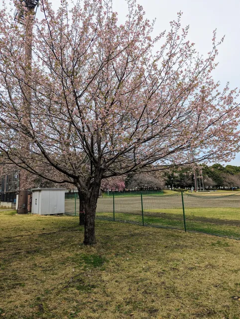 Tochigi City Ohira Sports Park