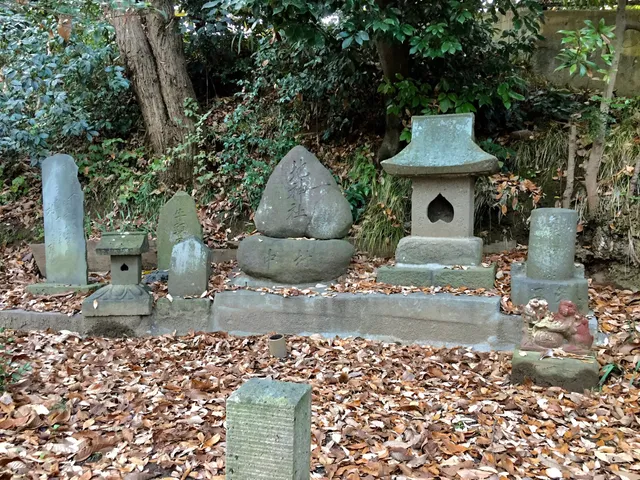 photo-1