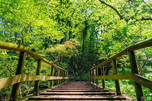 Ikuta Ryokuchi (Ikuta Greenspace)