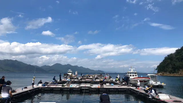 海上釣り堀 海遊