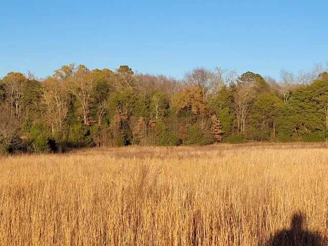 Piedmont Prairie Trail - McDowell Nature Preserve