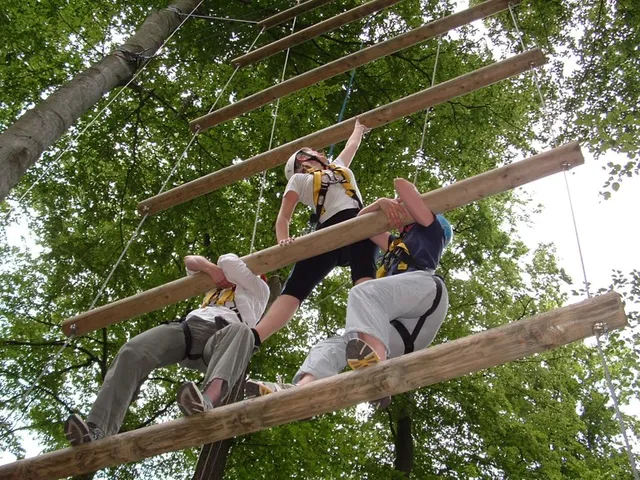 Natur-Hochseilgarten