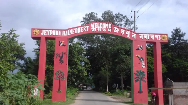 Jeypore Rainforest