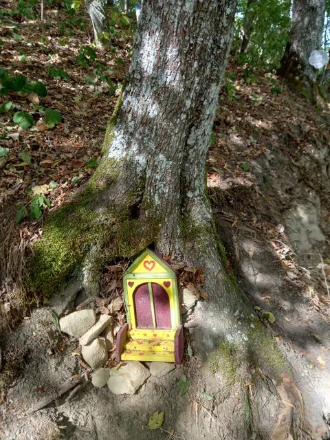 photo-1