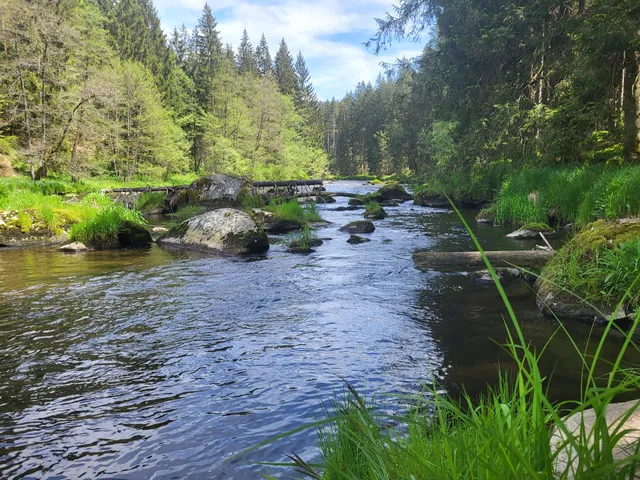 Bayerisch Kanada Wanderweg