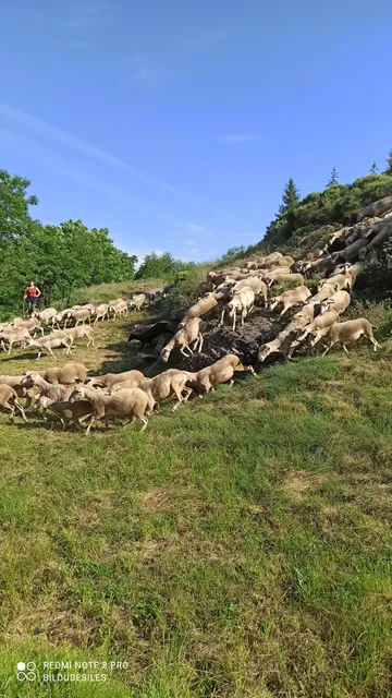 Le Bleymard - Mont Lozère