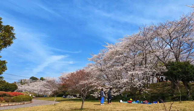 Sakuranosato Central Park