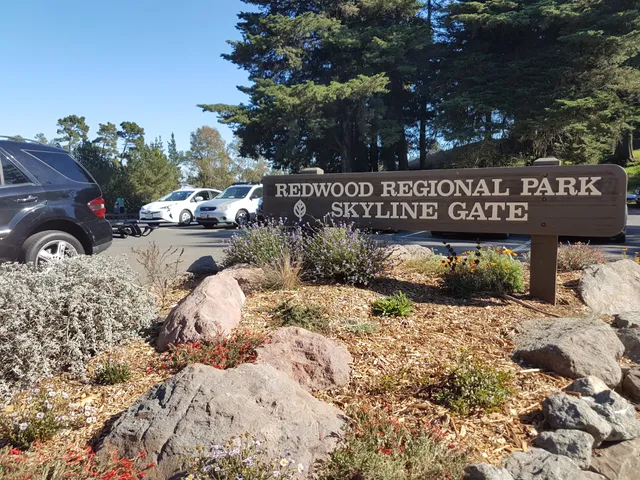 Skyline Gate Staging Area