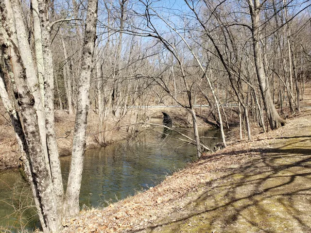 photo-2