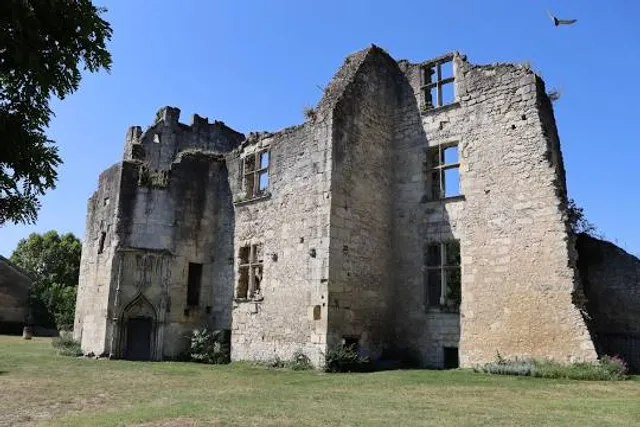 photo-1
