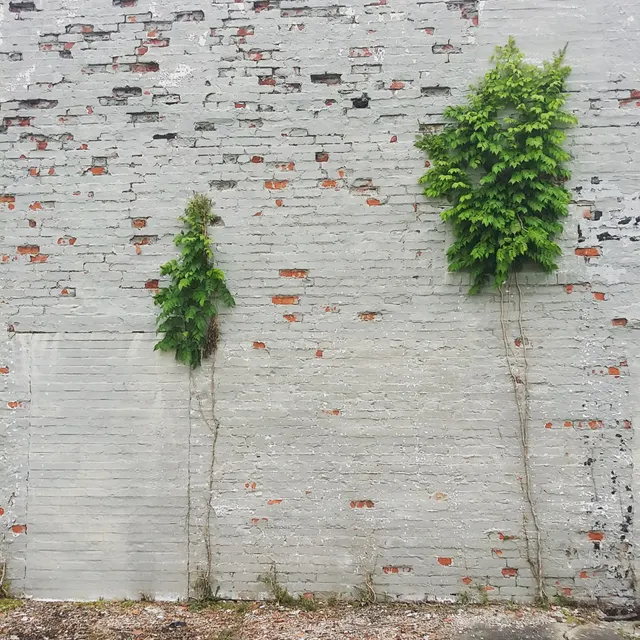 Wasted Repurpose Marketplace