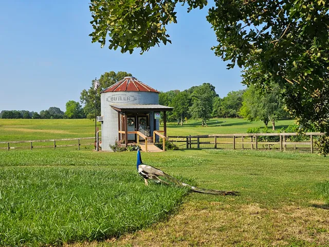 Forty Cannons Winery