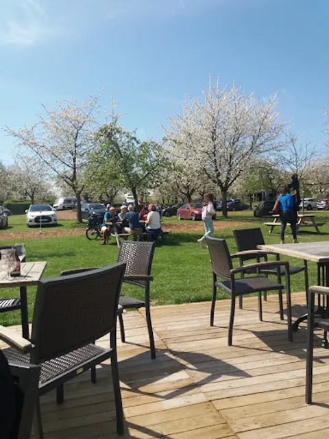 Wijn- en Fietscafé Heirbaan 66