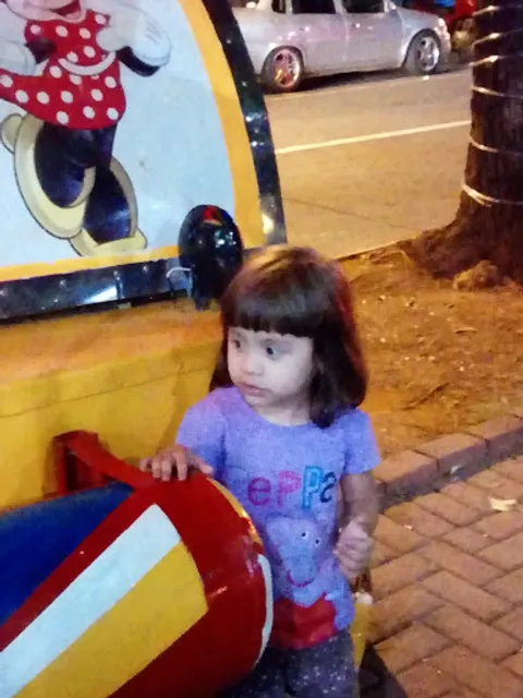 Sabor Goiano - Lanchonete E Pamonharia