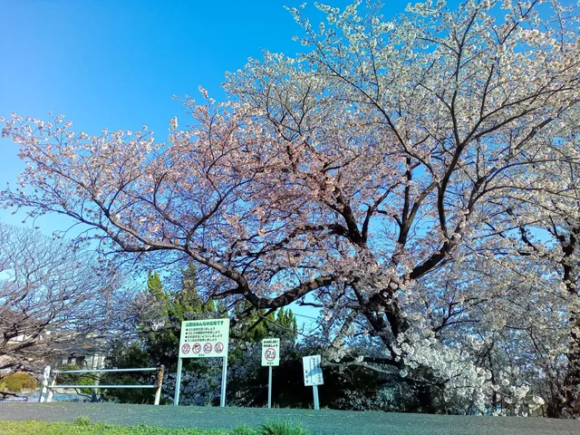 Okurachi Park
