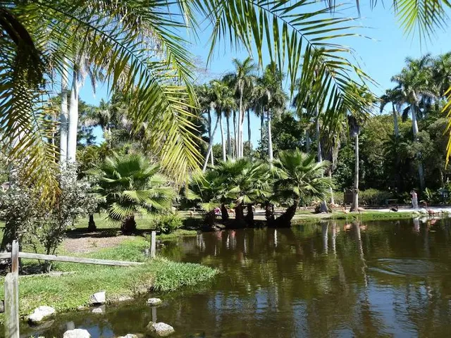 Sarasota Jungle Gardens