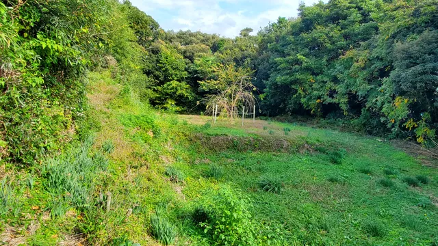 Kaminogo Castle Ruins