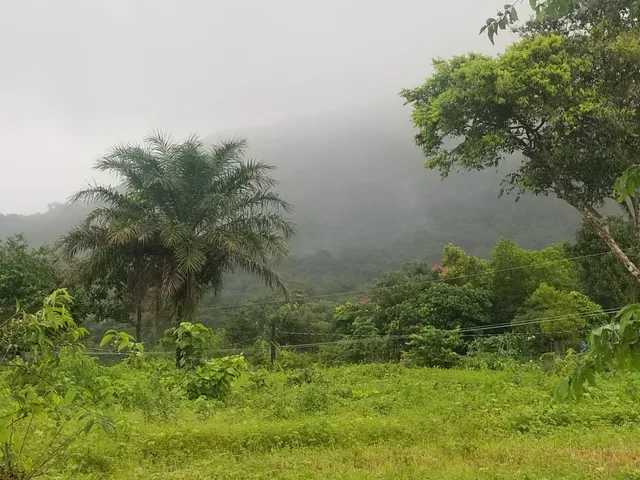 Western Area National Park