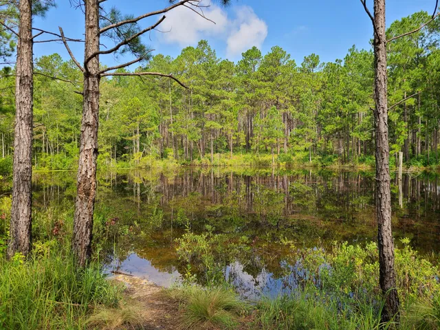 Carvers Creek State Park, Sandhills Access