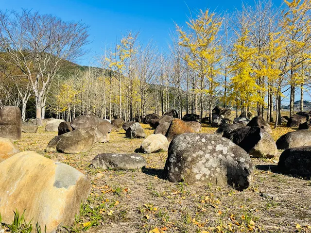 石霊の森