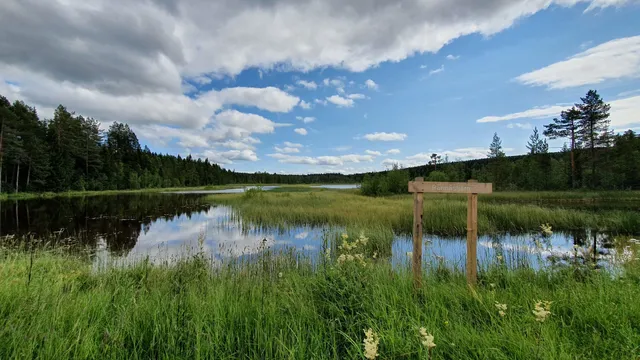 Rann Ridge Nature Reserve