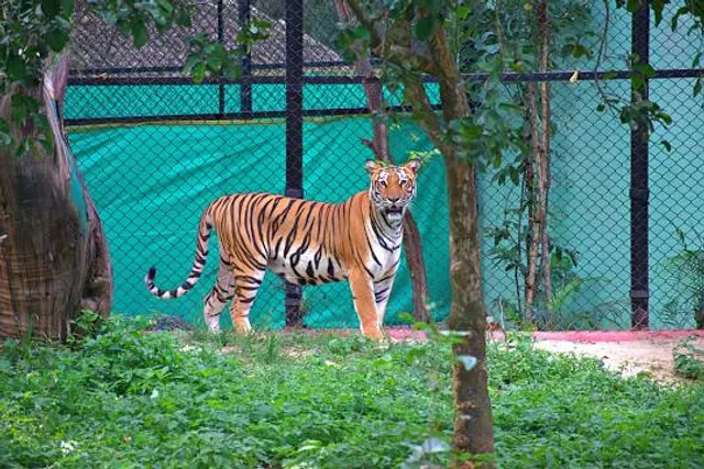 Bannerghatta biological park