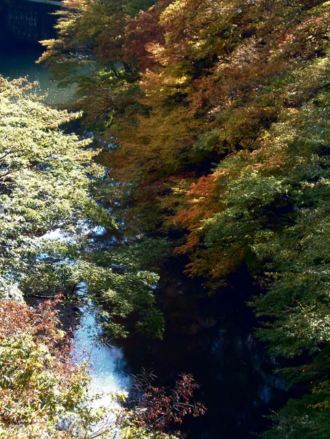 Hayakawa Gorge