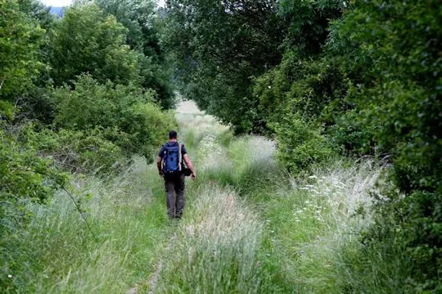 Drei-Freistaaten-Stein