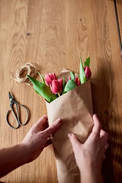 Dr.-Carl-Häberlin-Friesen-Museum