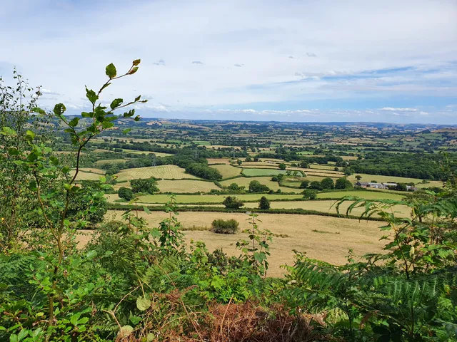 National Trust - Coney's Castle