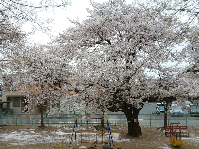 Matoba Tanuki-yama Park