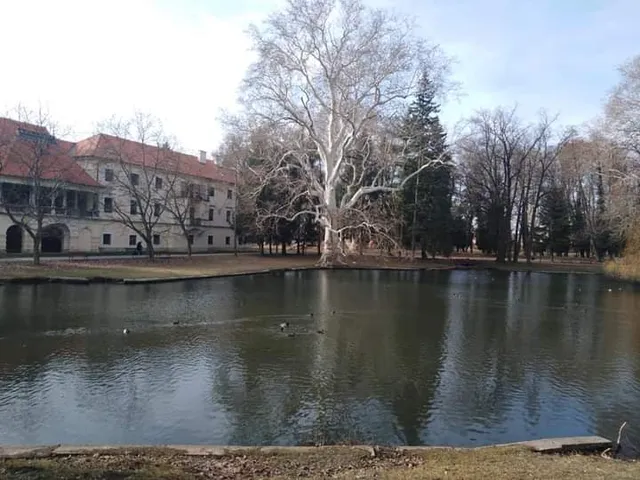 photo-2