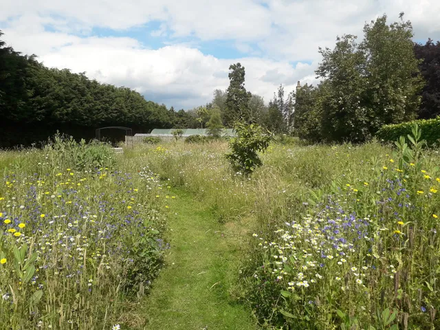 Hall Farm Garden