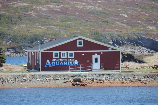 Champney's West Aquarium