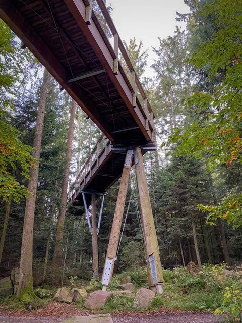 Baumwipfelpfad Schwarzwald