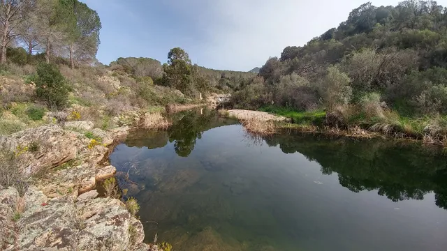 Foresta Demaniale di Su Filigosu