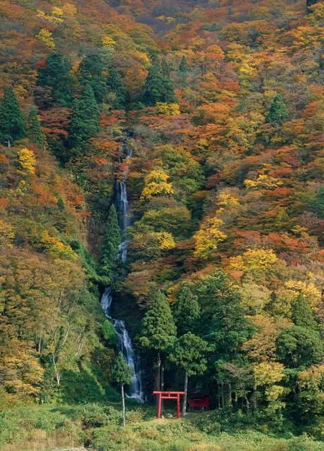 Shiraito Falls