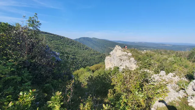 Réserve naturelle régionale du Crêt des Roches