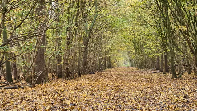 Natuurgebied Braakman-Zuid