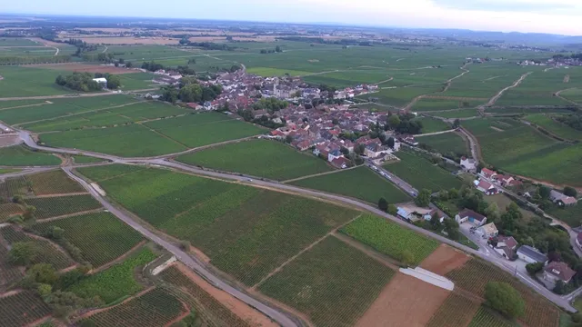 Domaine Michel REBOURGEON