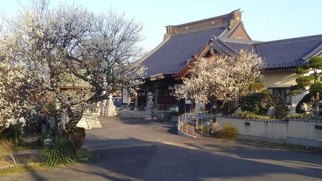 定林寺