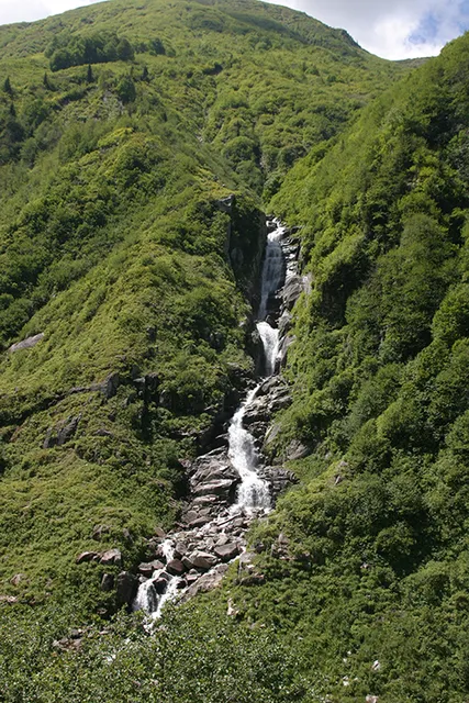 Tunca Vadisi Tabiat Parkı