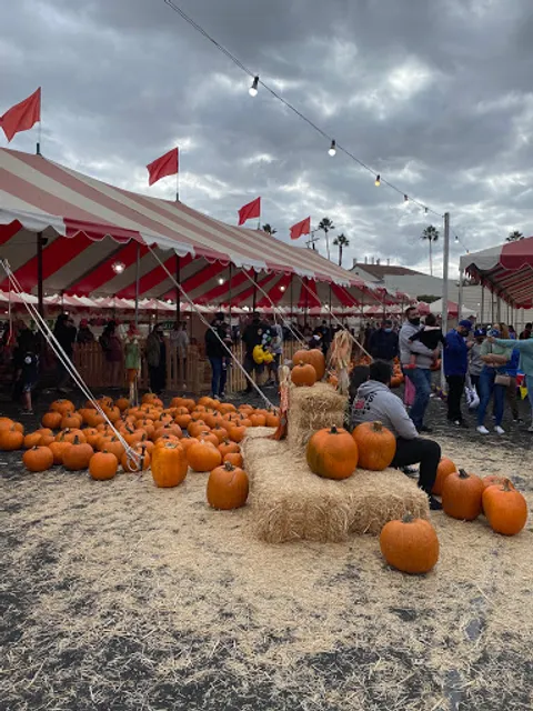 The Pumpkin Patch