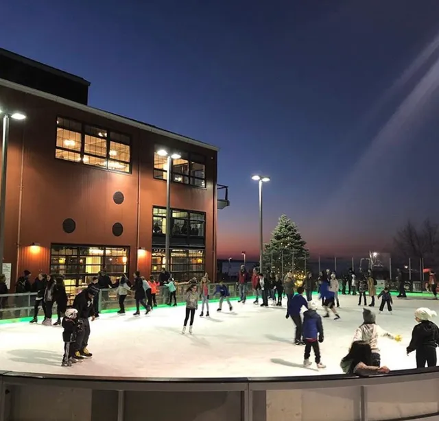 The Rinx at Harborfront Park