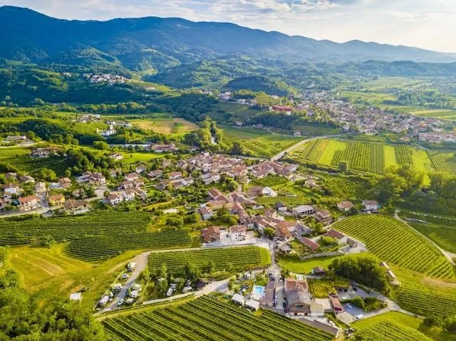 Saksida, wine & camping resort